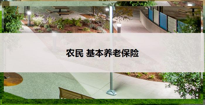 农民 基本养老保险(农民养老保险：关爱农村劳动者，共建幸福乡村)