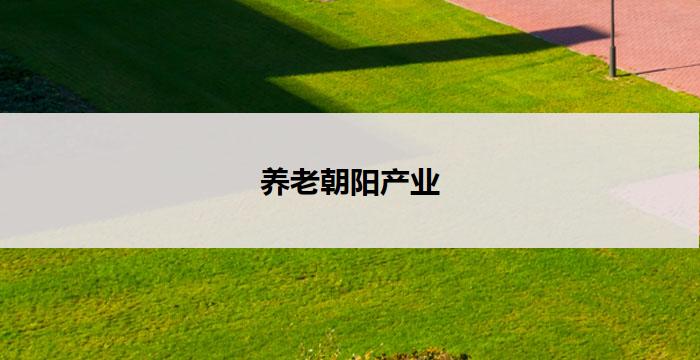 养老朝阳产业(养老朝阳产业：打造老有所养的新时代)