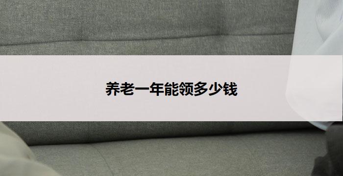养老一年能领多少钱(一年养老金领取标准如何确定)