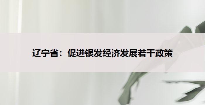辽宁省：促进银发经济发展若干政策