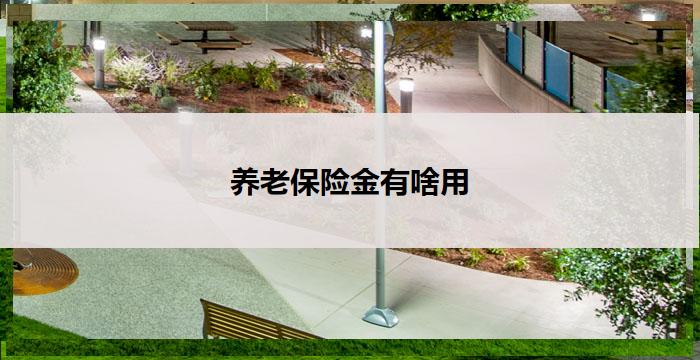 养老保险金有啥用(养老保险金的实际用途)