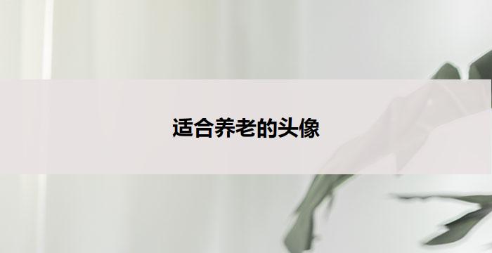 适合养老的头像(养老之美)