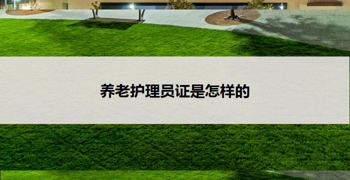 养老护理员证是怎样的(养老护理员证:职业发展与专业素养)