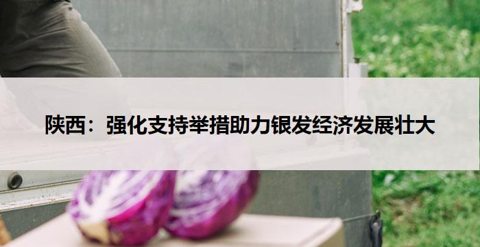 陕西：强化支持举措助力银发经济发展壮大