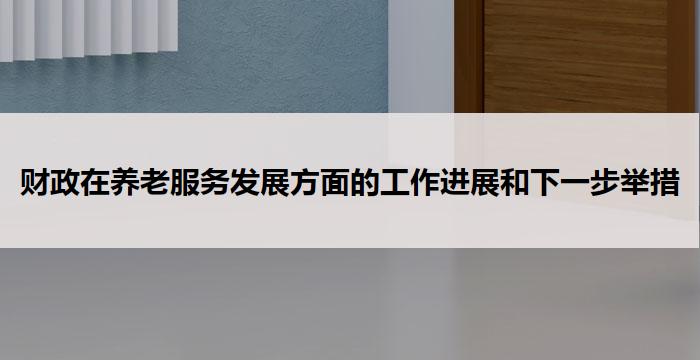 财政在养老服务发展方面的工作进展和下一步举措