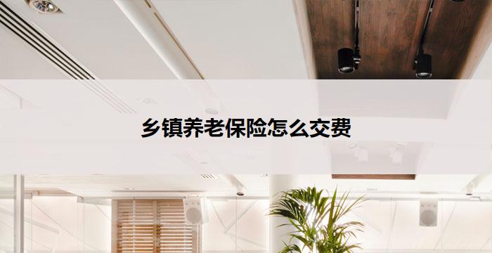 乡镇养老保险怎么交费(乡镇养老保险缴费方式详解)