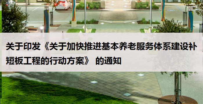 关于印发《关于加快推进基本养老服务体系建设补短板工程的行动方案》 的通知