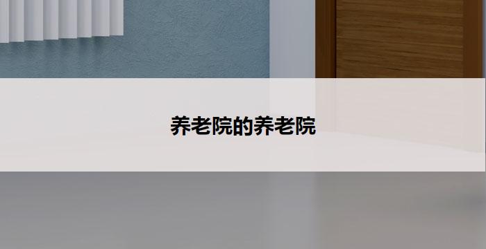 养老院的养老院(以养老院为中心的养老服务)