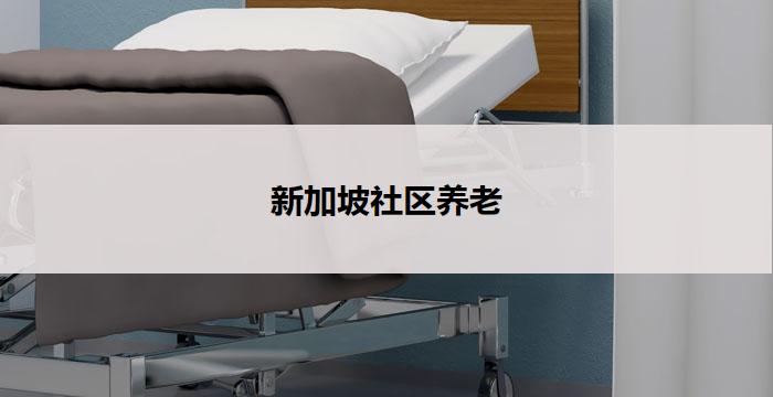 新加坡社区养老(新加坡社区养老:关怀老年人的家园)