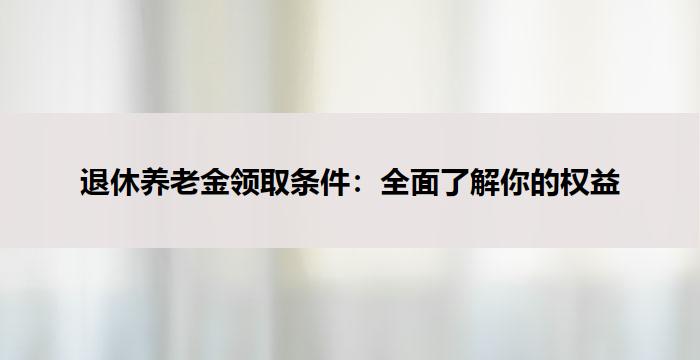 退休养老金领取条件:全面了解你的权益