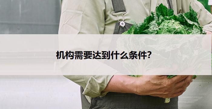 机构需要达到什么条件？