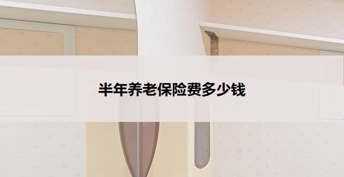 半年养老保险费多少钱(半年养老保险费用大揭秘)