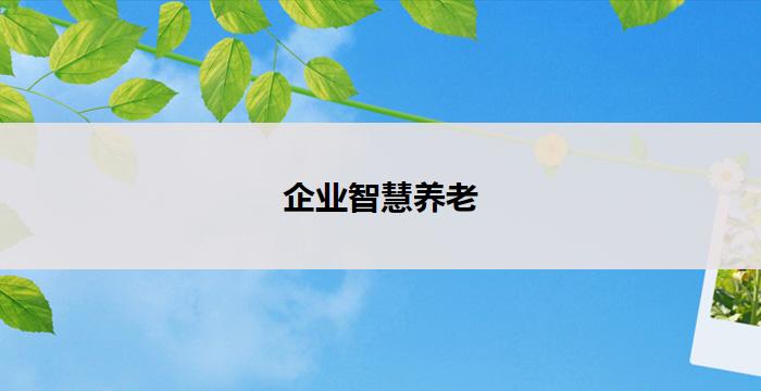 企业智慧养老(智慧养老，企业引领未来)