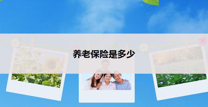 养老保险是多少(养老保险费用多少)