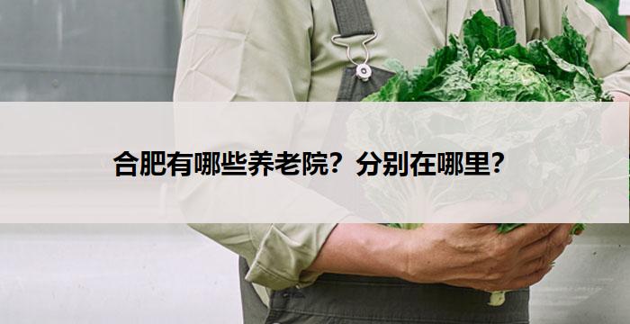 合肥有哪些养老院?分别在哪里?