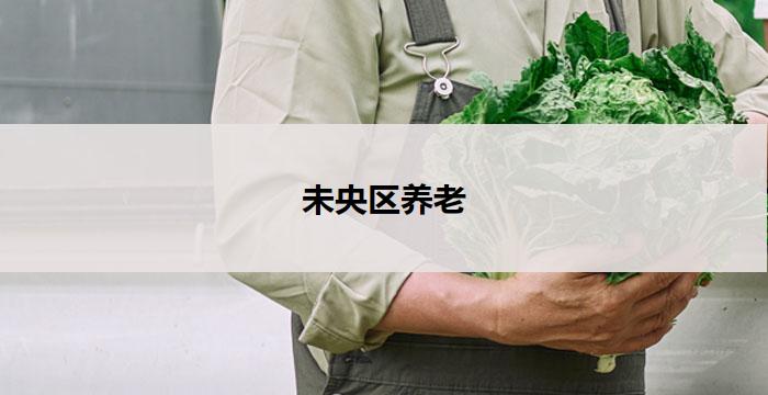 未央区养老(未央区养老服务中心：关爱长者，温馨家园)