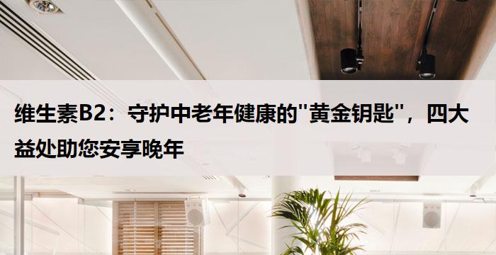 维生素B2:守护中老年健康的"黄金钥匙",四大益处助您安享晚年