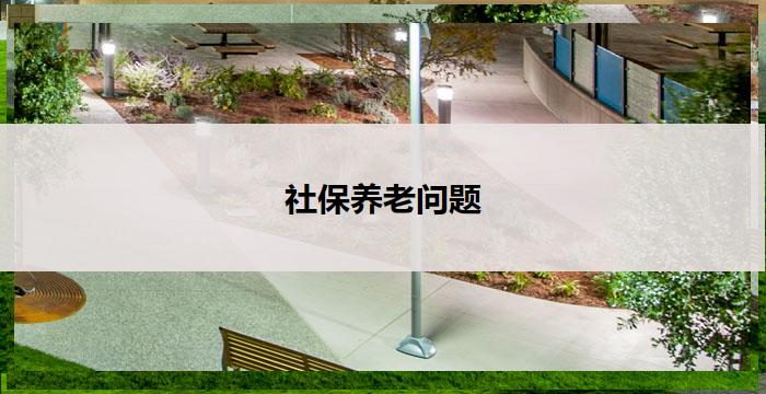 社保养老问题(社保养老：如何保障老年人的生活质量？)