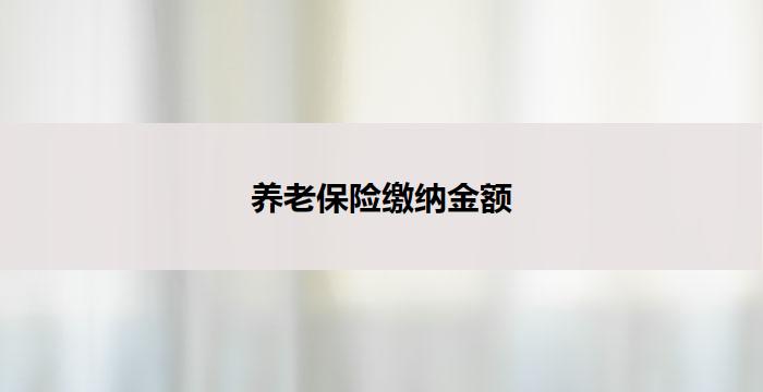 养老保险缴纳金额(养老保险缴纳金额：重要关注点)