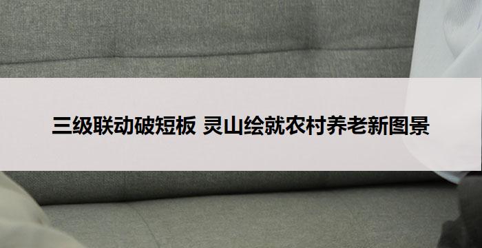 三级联动破短板 灵山绘就农村养老新图景