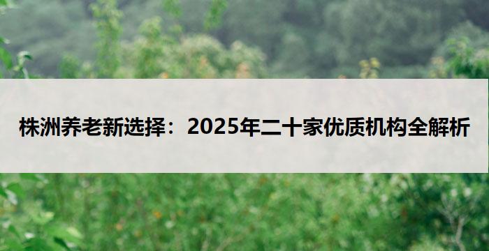 株洲养老新选择:2025年二十家优质机构全解析