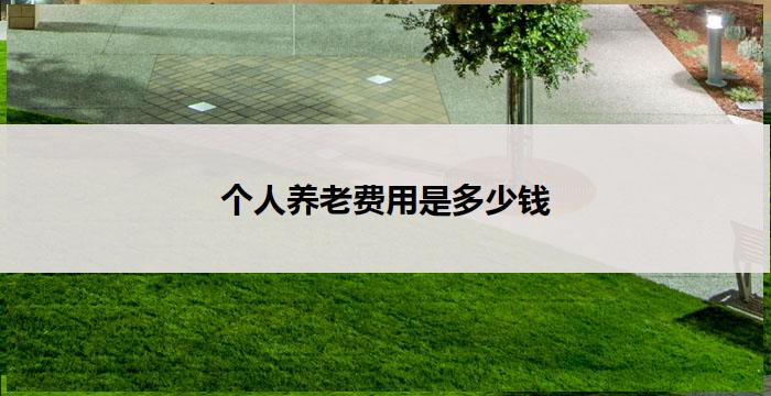 个人养老费用是多少钱(个人养老费用:如何计算养老金?)