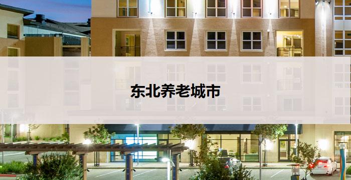 东北养老城市(东北养老城市:老年人福利中心的理想家园)