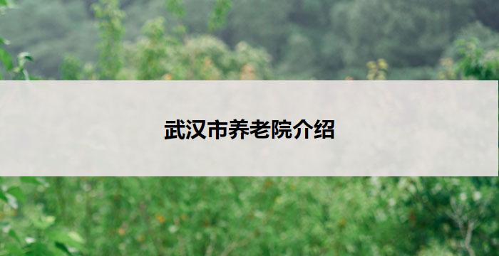 武汉市养老院介绍
