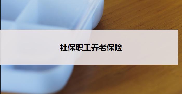 社保职工养老保险(社保职工养老保险:为您的未来保驾护航)
