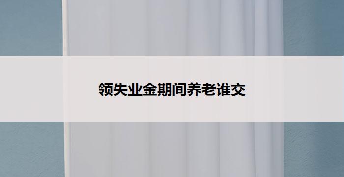 领失业金期间养老谁交(领失业金期间养老谁负责)