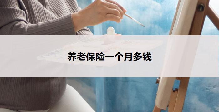 养老保险一个月多钱(养老保险一个月多少钱?)