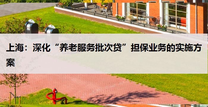 上海：深化“养老服务批次贷”担保业务的实施方案 