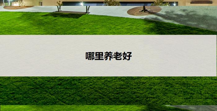 哪里养老好(哪里养老好：选择养老地点的关键因素)