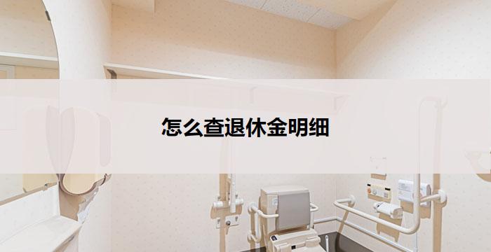 怎么查退休金明细(如何查询退休金明细)