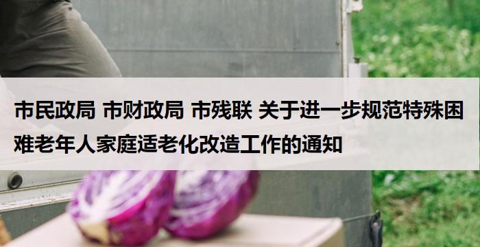 市民政局 市财政局 市残联 关于进一步规范特殊困难老年人家庭适老化改造工作的通知