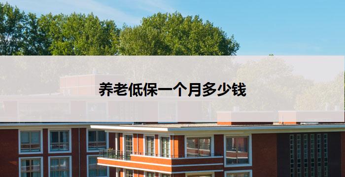 养老低保一个月多少钱(养老低保:一个月多少钱?)