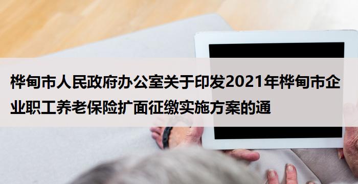 桦甸市人民政府办公室关于印发2021年桦甸市企业职工养老保险扩面征缴实施方案的通