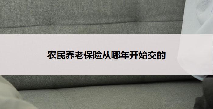 农民养老保险从哪年开始交的
