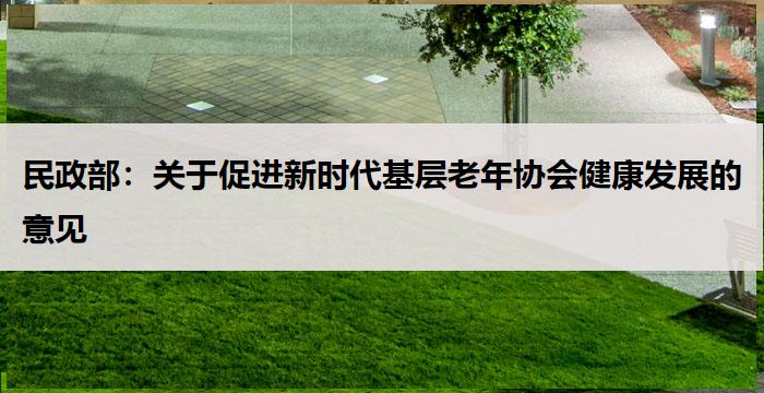 民政部:关于促进新时代基层老年协会健康发展的意见