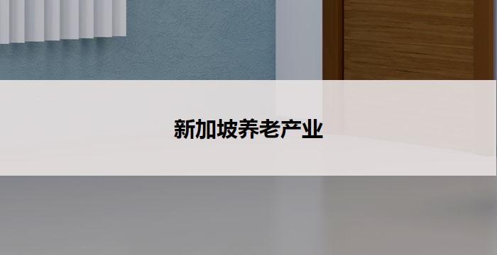 新加坡养老产业(新加坡养老产业:未来可期)