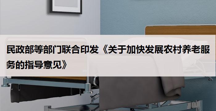 民政部等部门联合印发《关于加快发展农村养老服务的指导意见》