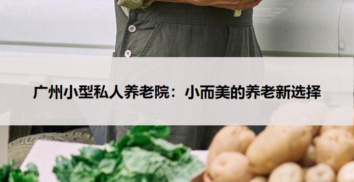 广州小型私人养老院：小而美的养老新选择