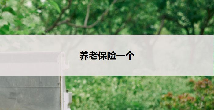 养老保险一个(养老保险:关爱老年人,共建幸福社会)
