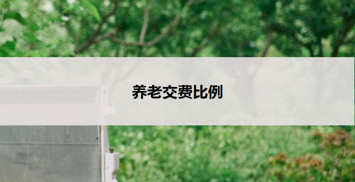 养老交费比例(养老交费比例：关注老年人生活质量的重要指标)