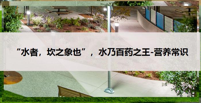 “水者，坎之象也”，水乃百药之王-营养常识