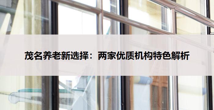 茂名养老新选择：两家优质机构特色解析