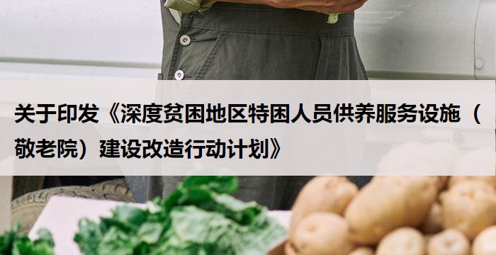 关于印发《深度贫困地区特困人员供养服务设施(敬老院)建设改造行动计划》