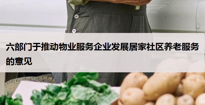 六部门于推动物业服务企业发展居家社区养老服务的意见