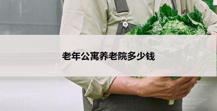 老年公寓养老院多少钱