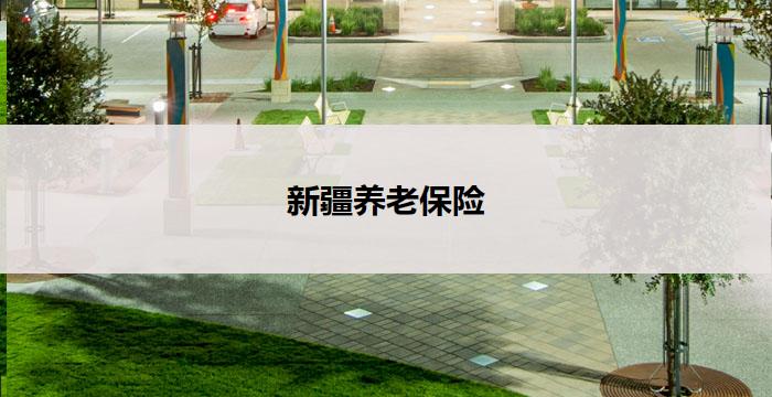 新疆养老保险(新疆养老保险：为老年人创造美好晚年)